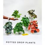 Potted Drop Plant(10025)