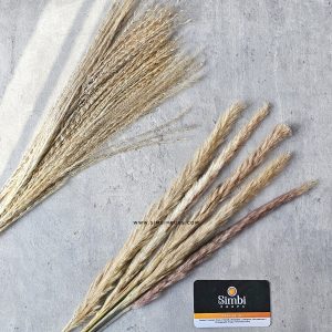 Reed flower